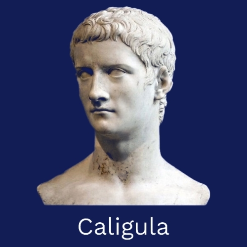 #121d55 CL Caligula 500