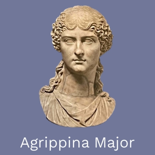 #707799 CL Agrippina Major 500
