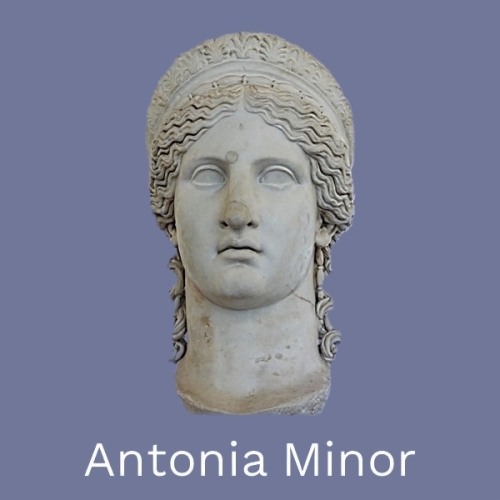 #707799 CL Antonia Minor 500